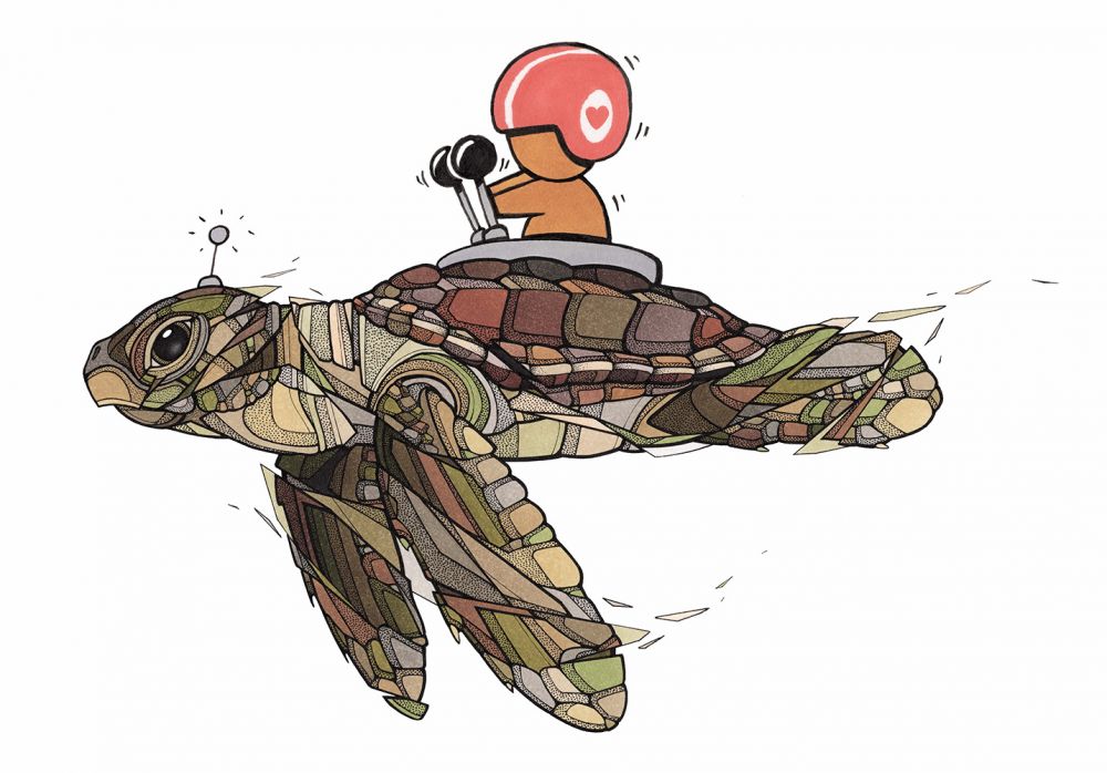 tortue-caouanne-(caretta-caretta)-(teuthis-x-jace)-small.jpg