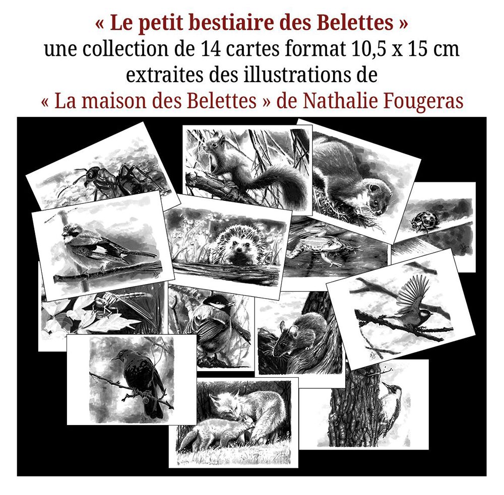 LE PETIT BESTIAIRE DES BELETTES