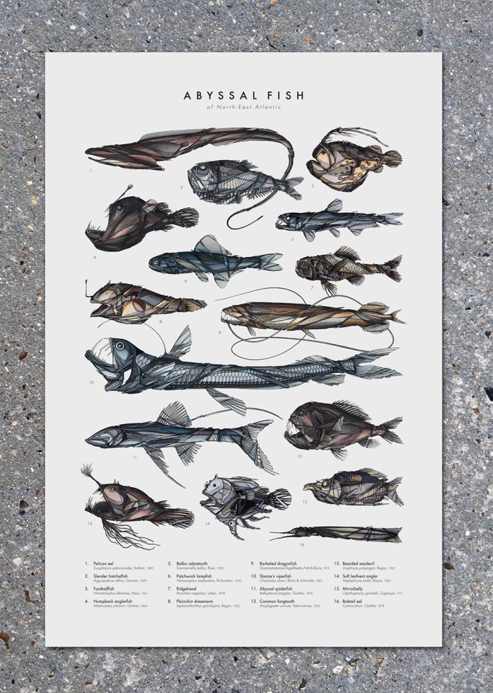 POSTER ABYSSE