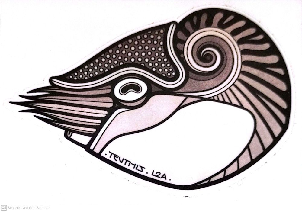 STICKER NAUTILE 