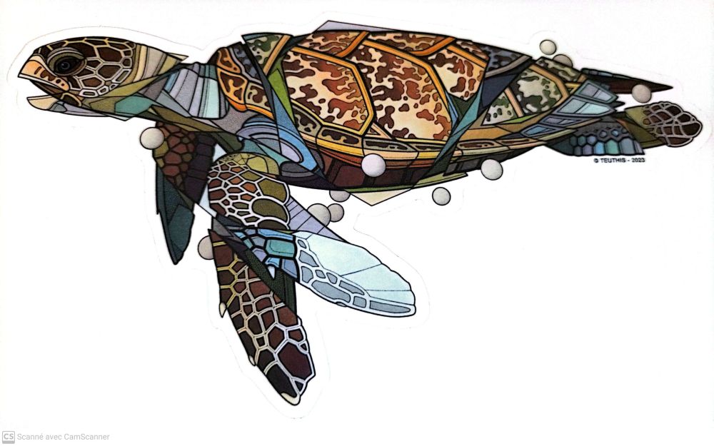 STICKER TORTUE MARINE 