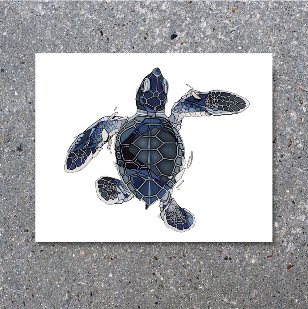 TORTUE